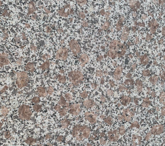 山東珍珠紅圖片/山東珍珠紅樣板圖 (4)