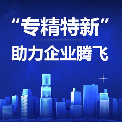 專精特新企業(yè)申報圖片/專精特新企業(yè)申報樣板圖 (1)