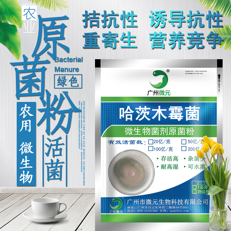 哈茨木霉菌 哈茨木霉菌生物防治性土传病害菌剂 农用微生物菌剂图片