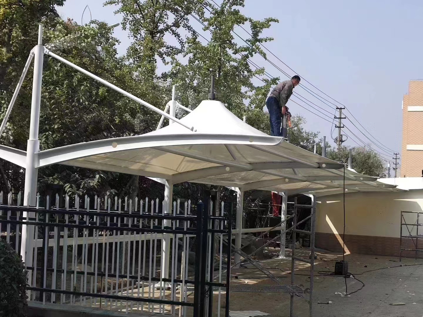 景观膜结构雨棚 批发厂家  批发价格  哪家好  【潍坊君雅膜结构工程有限公司】图片