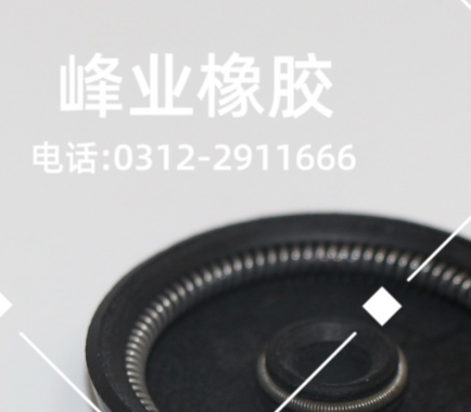 橡膠密封圖片/橡膠密封樣板圖 (1)