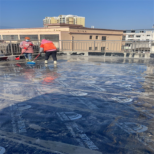 衛(wèi)生間防水補漏圖片/衛(wèi)生間防水補漏樣板圖 (1)