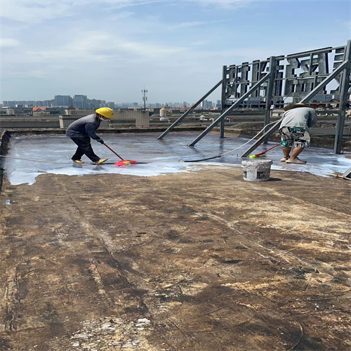 南寧屋頂防水補(bǔ)漏工程圖片/南寧屋頂防水補(bǔ)漏工程樣板圖 (4)