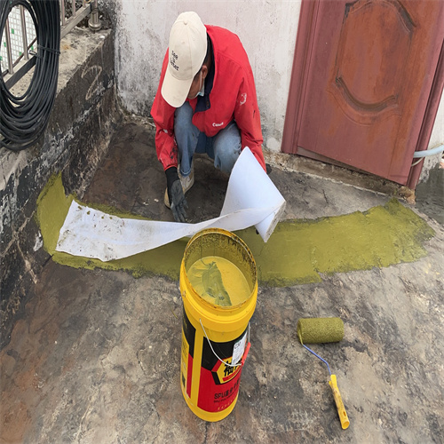 樓房滲水堵漏圖片/樓房滲水堵漏樣板圖 (4)