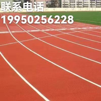 塑胶跑道 足球场塑胶跑道 塑胶跑道尺寸 塑胶跑道施工 塑胶跑道材料价格