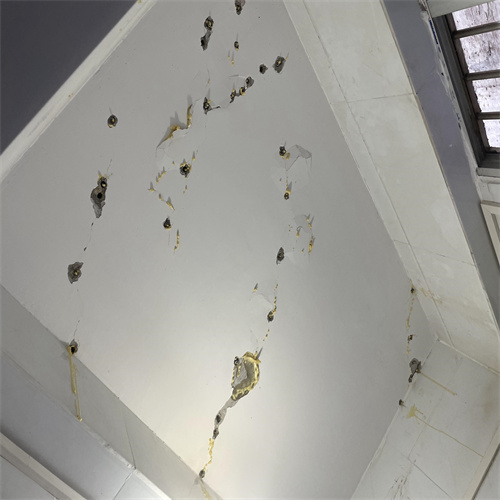 樓頂防水補漏圖片/樓頂防水補漏樣板圖 (1)