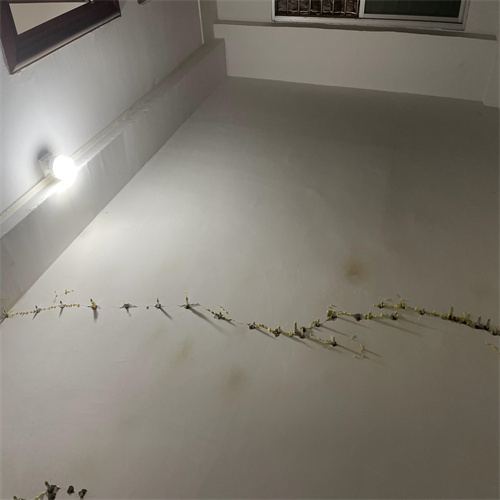 墻體裂縫修補圖片/墻體裂縫修補樣板圖 (4)