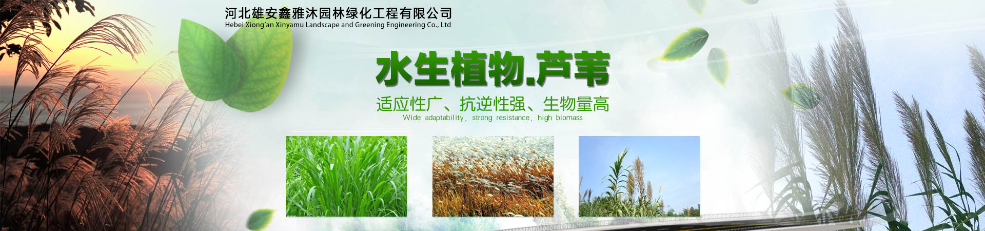 海報1
