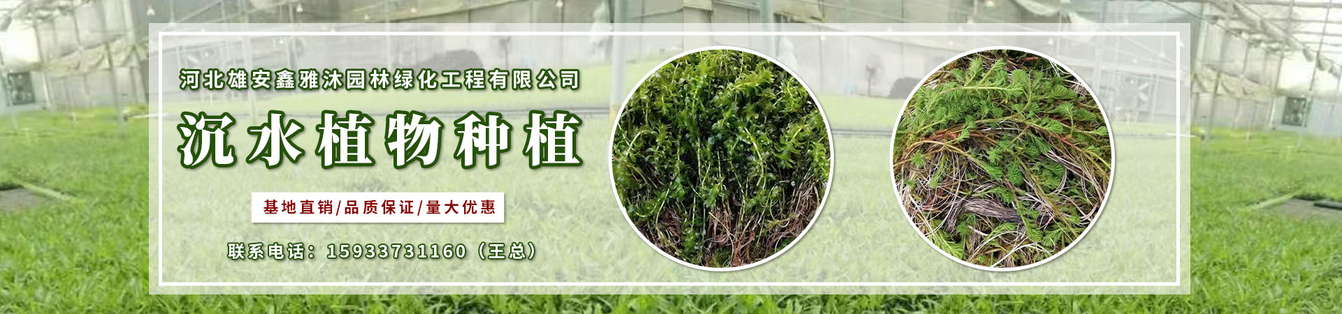 海報(bào)4