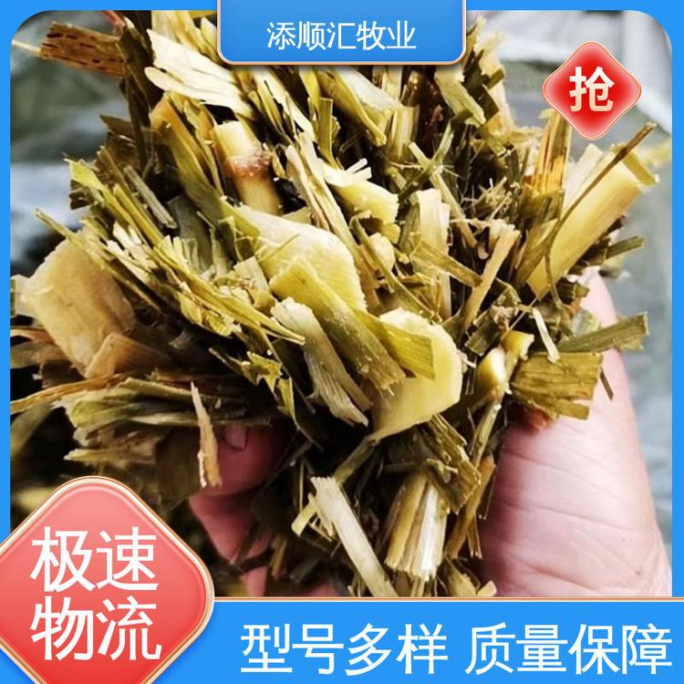 云南牧草批發(fā)價(jià)-供應(yīng)商-直銷-報(bào)價(jià)-電話-多少錢【柳州市添順匯養(yǎng)殖專業(yè)合作社】