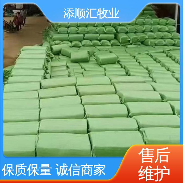 喂羊 編織袋 壓捆直發(fā) 費用低 甘蔗尾報價 添順匯牧業(yè)