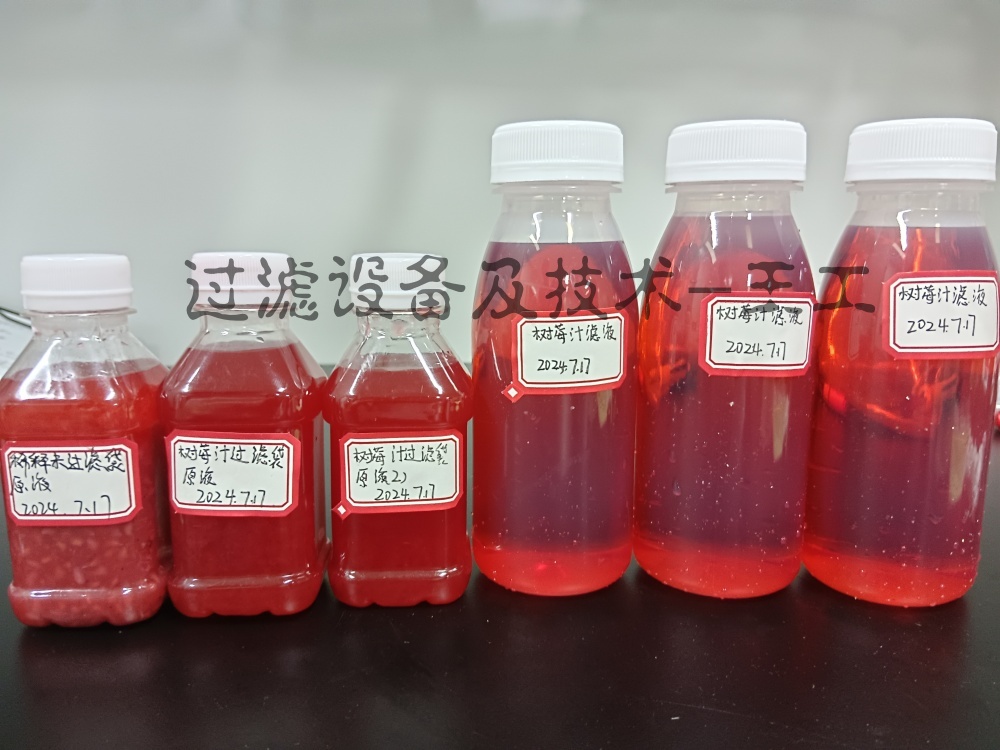 果汁超濾錯流膜過濾設(shè)備