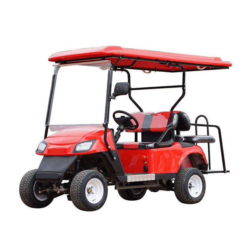 盛達(dá)飛電動(dòng)高爾夫球車 戶外旅游觀光車 單排兩座 操作簡(jiǎn)便