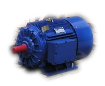 供應(yīng)MD1CH高轉(zhuǎn)差率電動機-大連電機廠