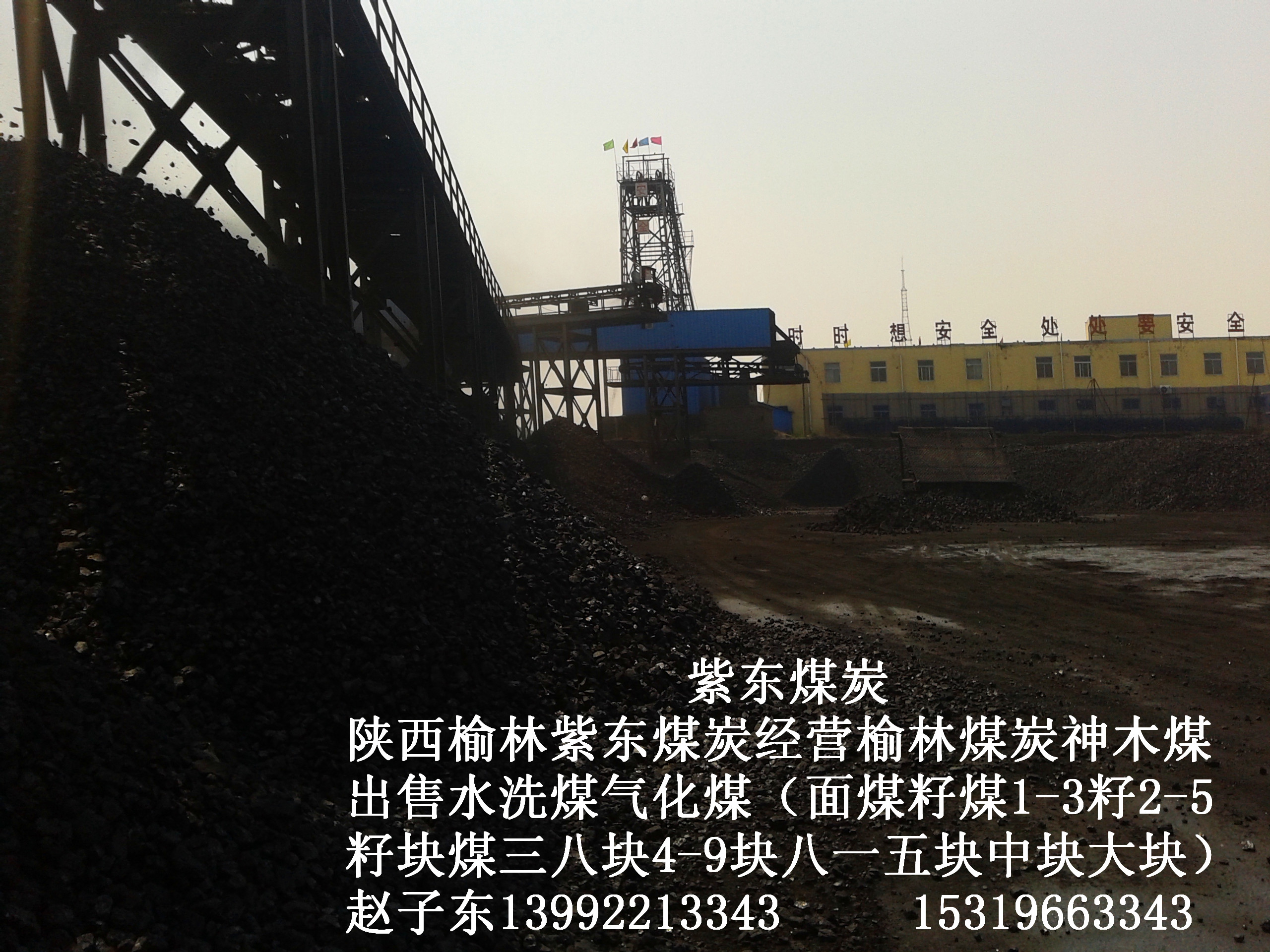 供應(yīng)用于冶金工業(yè)的銷售煤炭陜西榆林煤炭陜西神木煤炭出售面煤一三籽煤二五籽煤三六籽煤四九塊煤八零塊煤八一五塊煤中塊煤大塊出