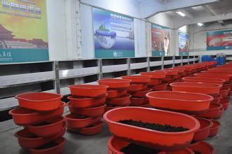 供應用于的人工養(yǎng)殖土元飼料的投放管理方法邯鄲邢臺衡水滄州土元