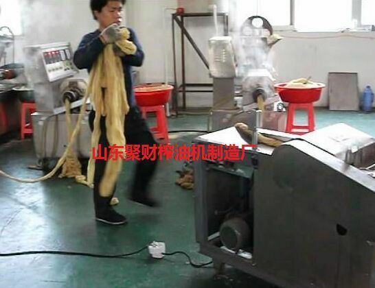 江蘇贛榆生產(chǎn)人造肉機(jī)、豆皮機(jī)、腐竹機(jī)、蛋白肉機(jī)