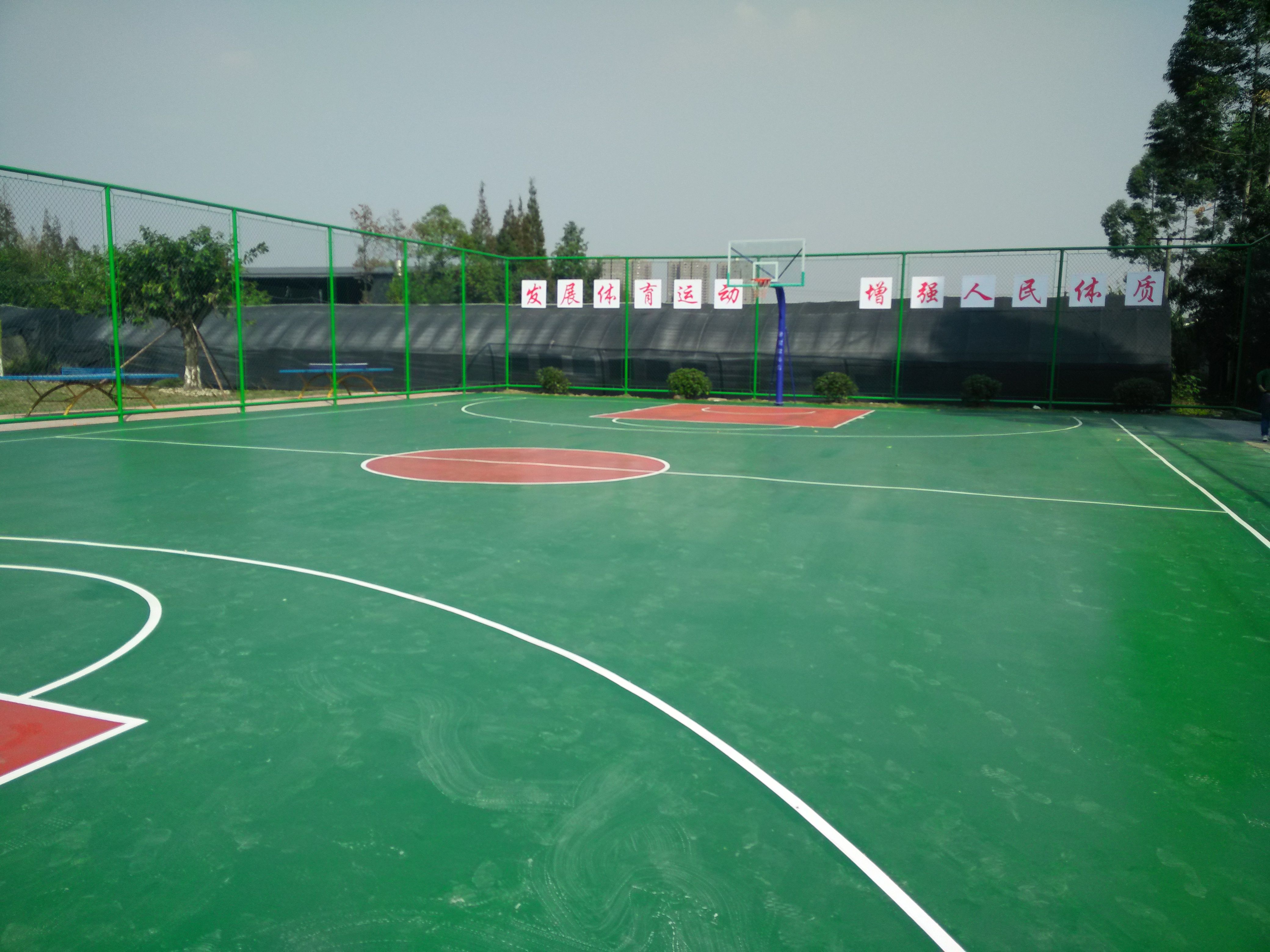 供應成都塑膠球場體育地坪*宏奕建筑球場地坪