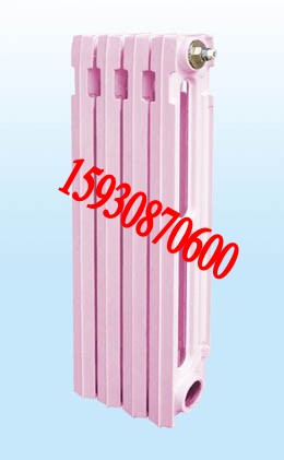 供應(yīng)用于采暖的新翼666鑄鐵暖氣片新翼750鑄鐵