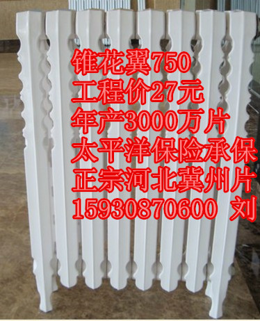 供應(yīng)鑄鐵錐花翼750散熱器 錐花藝暖氣片 山西錐花翼750散熱器