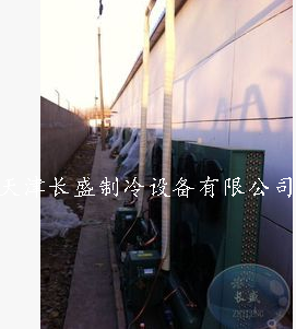 供應用于水果的物流冷庫設(shè)計、安裝冷庫、大型果蔬