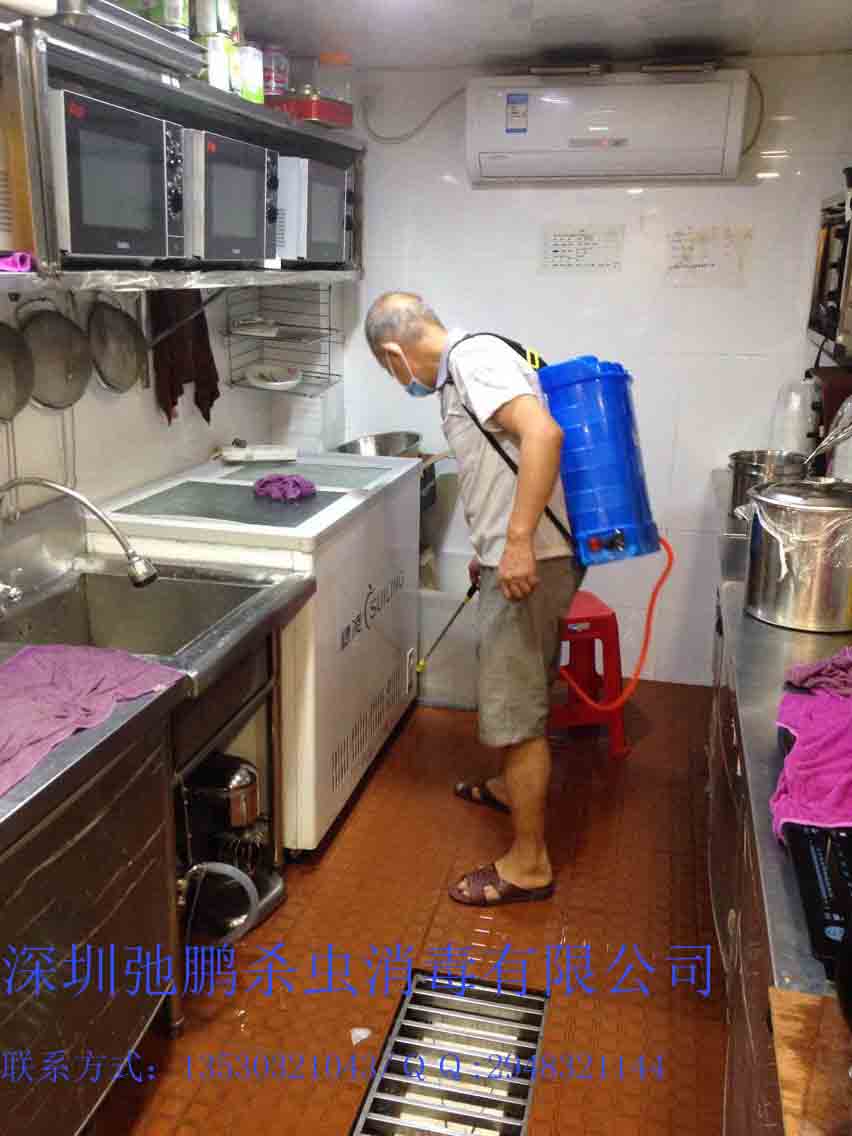 寶安治白蟻公司西鄉(xiāng)治白蟻公司