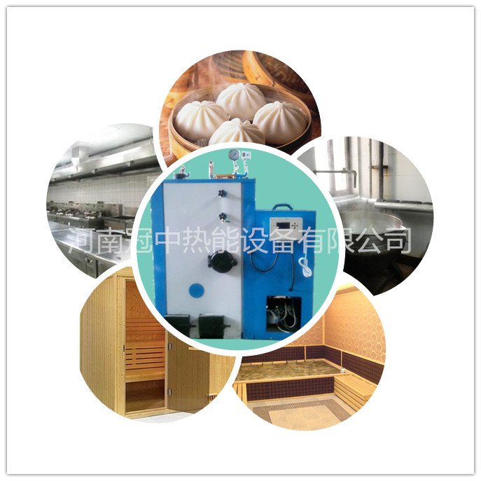 供應(yīng)小型電加熱蒸汽鍋爐3KW-6KW-9KW-電蒸汽發(fā)生器