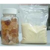 供應(yīng)阿拉伯樹脂膠 廠家直銷 阿拉伯樹脂膠 價格 阿拉伯樹脂膠 用途