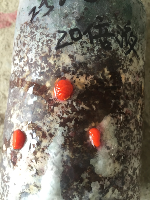 供應(yīng)食用菌鏈孢霉殺菌劑菇博士，湖北鏈孢霉殺菌劑生產(chǎn)商