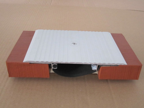 供應(yīng)深圳地面FJM型伸縮縫裝置