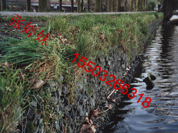 綠格網(wǎng) 水利改建河道治理生態(tài)格網(wǎng) 綠色覆塑覆膜格網(wǎng)