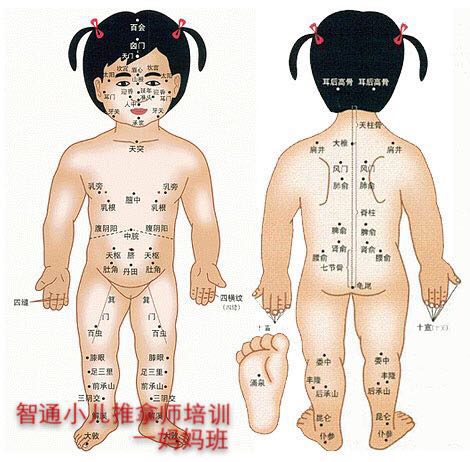 供應(yīng)學(xué)習(xí)小兒推拿，來(lái)智通家政培訓(xùn)機(jī)構(gòu)