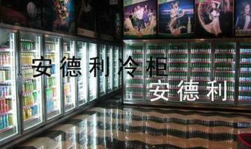 供應(yīng)超市立式飲料冰柜促銷