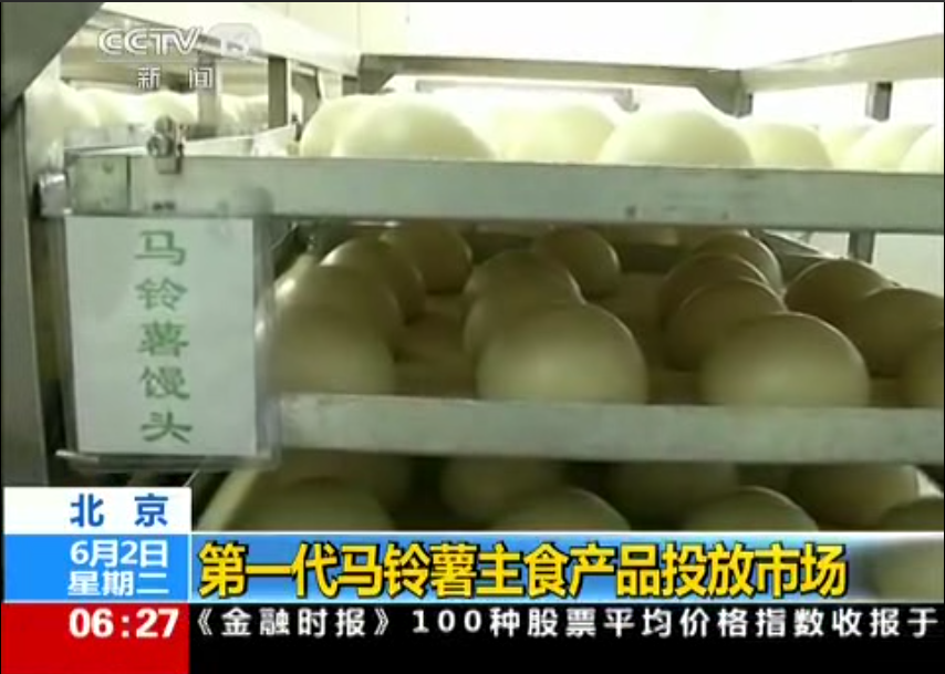 供應(yīng)白鴿全自動仿手工圓饅頭生產(chǎn)線