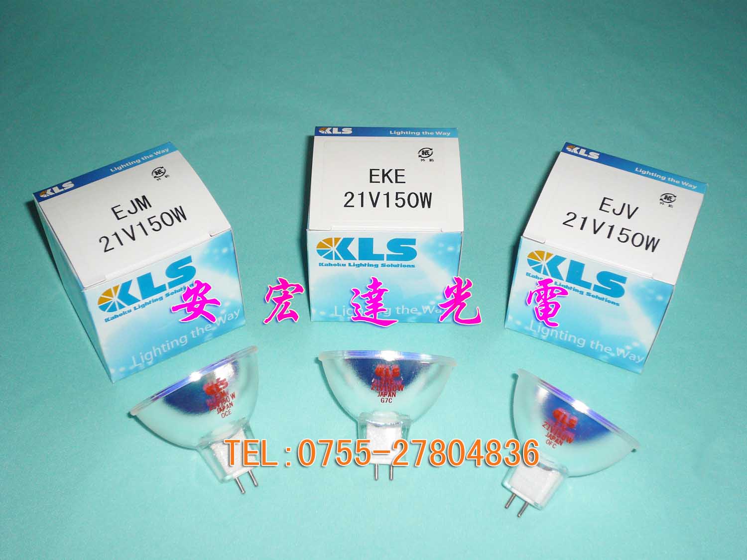 日本KLS鹵素杯燈 EJM 21V150W，光學儀器燈泡
