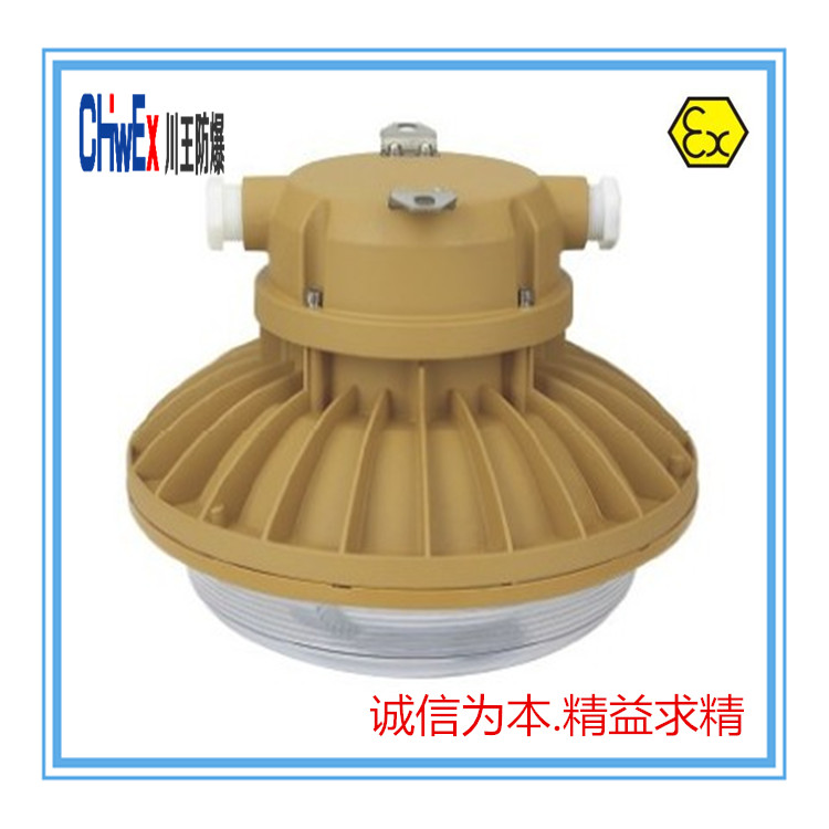 供應(yīng)工廠防爆無極燈防水防塵防腐