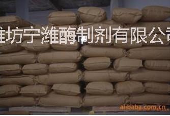 供應(yīng)用于飼料添加劑的枯草芽孢桿菌 飼料添加劑