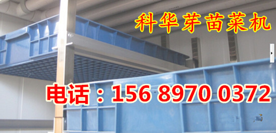 供應(yīng)全自動(dòng)芽苗菜機(jī)，大型全自動(dòng)芽苗菜機(jī)器，全自動(dòng)芽苗菜機(jī)微電腦操作，自動(dòng)化程度高。無(wú)需專人看管