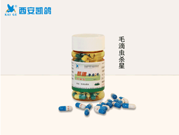 供應(yīng)用于鴿藥的凱鴿鴿藥【凈蟲2號】起痰