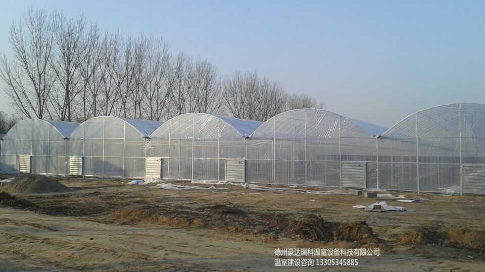 污泥干化溫室 溫室大棚資材
