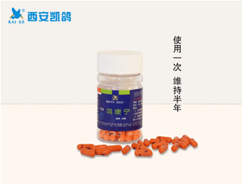 供應(yīng)凱鴿鴿藥【鴿康寧】*專利