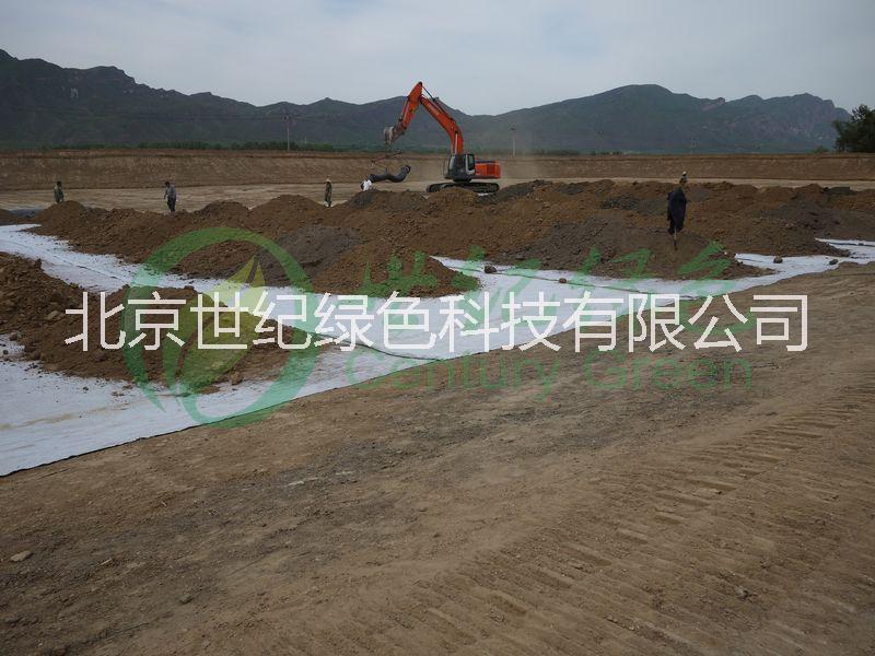 供應(yīng)鈉基膨潤土防水毯
