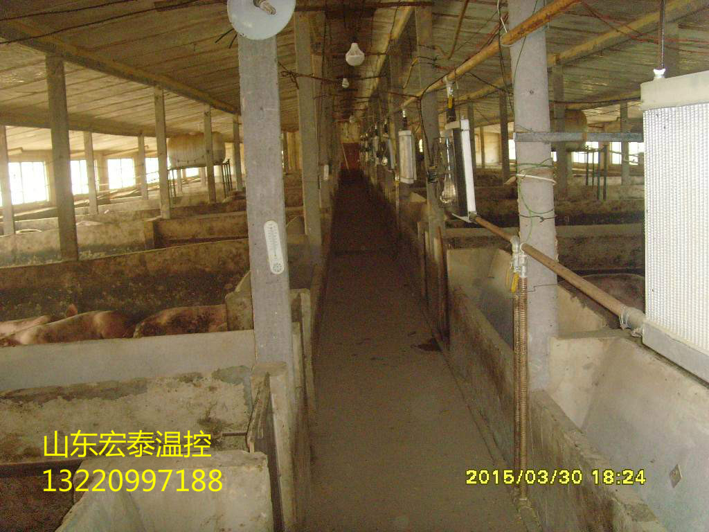 供應(yīng)雞舍加溫鍋爐/雞舍加溫鍋爐圖片展示