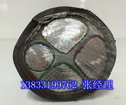 供應(yīng)鎧裝電纜vlv22