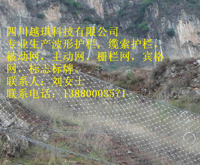 供應(yīng)RX050被動網(wǎng)SNS柔性邊坡防護網(wǎng)