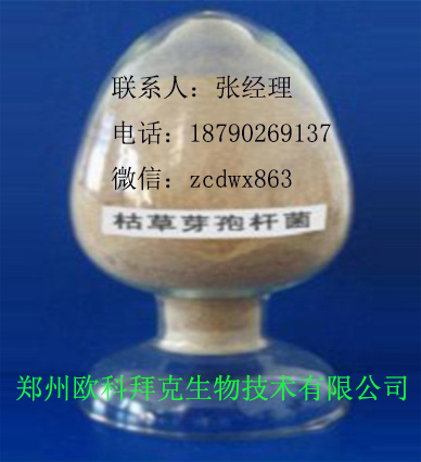 供應(yīng)用于飼料|水產(chǎn)養(yǎng)殖|農(nóng)業(yè)種植的微生態(tài)益生菌原料枯草芽孢桿菌