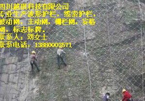 供應(yīng)四川貴州云南西藏主動(dòng)網(wǎng)價(jià)格