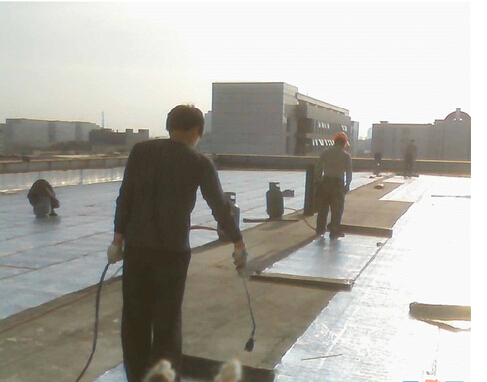 供應(yīng)觀瀾防水觀瀾防水補(bǔ)漏觀瀾防水補(bǔ)漏公司15920051600