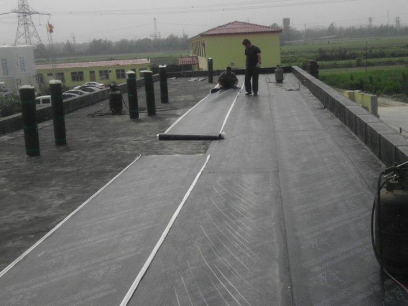 供應(yīng)坪山防水補(bǔ)漏公司I坪山補(bǔ)漏公司I坪山防水公司