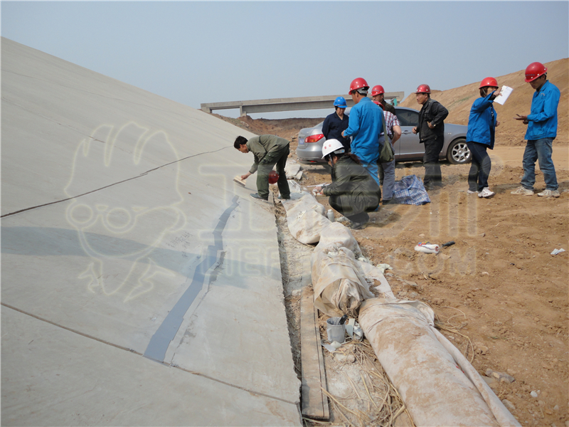 供應(yīng)工程師牌A6裂縫封閉膏 裂縫處理 裂縫修補(bǔ) 混凝土龜裂封閉處理